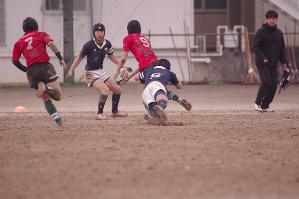 写真