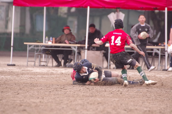 写真