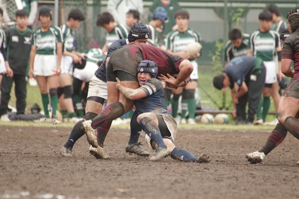 写真