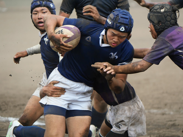 写真